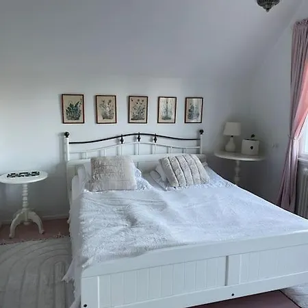 Villa Old With Garden Close To Centre Of Parainenp